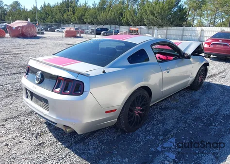 2014 Ford Mustang V6 Premium z USA, uszkodzony, nr VIN 1ZVBP8AMXE5318915